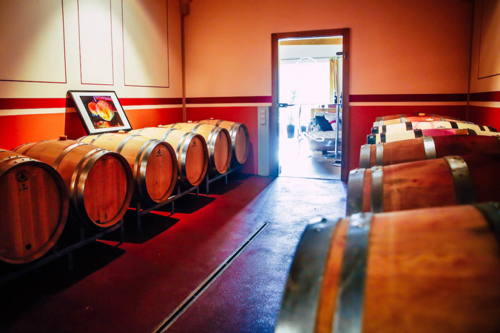 Rotweinlager der Weinmanufaktur Wandraschek