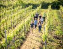 Familie vom Weingut Nastl in einem ihrer Weingärten im österreichischen Kamptal