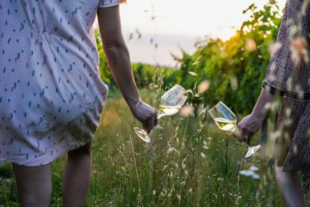 Zwei Frauen in Rückenansicht im Weingarten mit Weinglas in der Hand