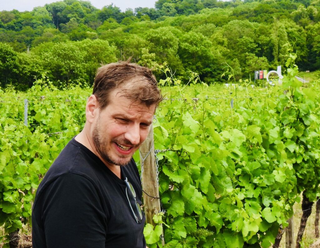 Winzer Paul Weltner in einem seiner Weingärten in Franken