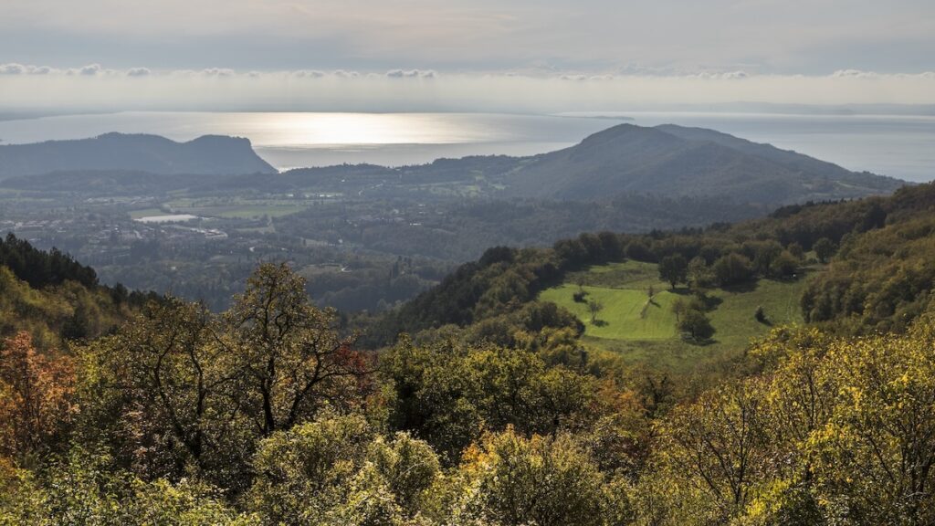 Cru Montebaldo im Veneto