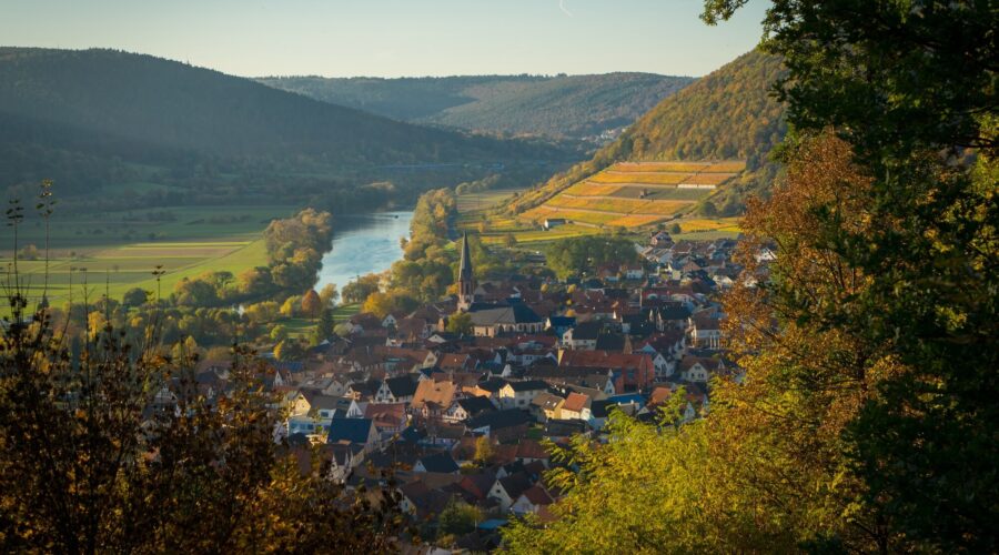 Blick auf die Mainschleife und Miltenberg in Churfranken