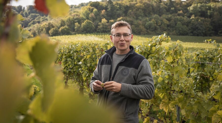 Winzer Michael Melber zwischen seinen Reben im fränkischen Rödelsee